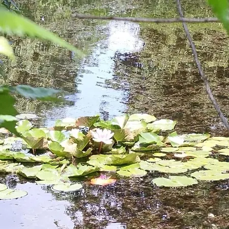 Swallow's Nest In The House By The Pond 펜션 페마른